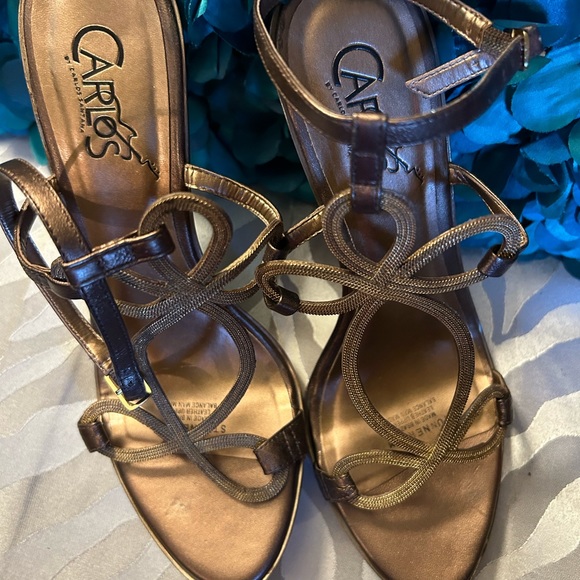 Carlos Santa - Picture 2 of 6